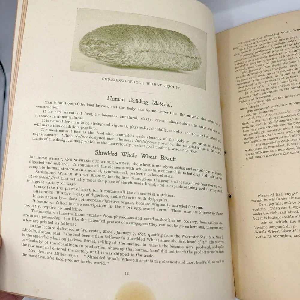 H. D. Perky The Vital Question Antique 1897 Tan Shredded Wheat Cookbook Advert